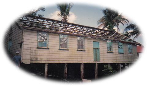 Old and New Takiveikata wing